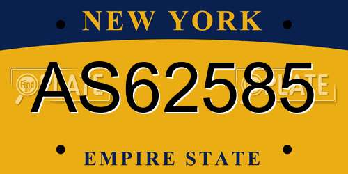 AS62585 New York License Plate