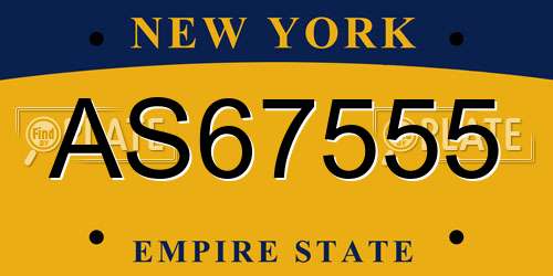 AS67555 New York License Plate