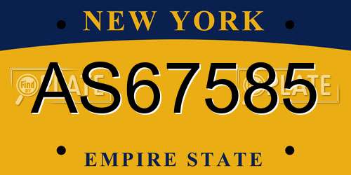AS67585 New York License Plate