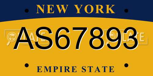 AS67893 New York License Plate
