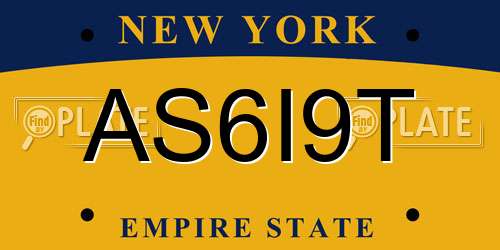 AS6I9T New York License Plate