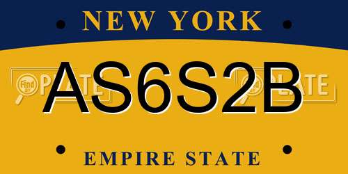 AS6S2B New York License Plate