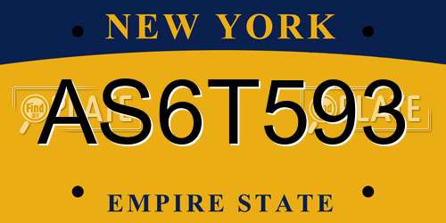 AS6T593 New York License Plate