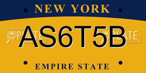 AS6T5B New York License Plate