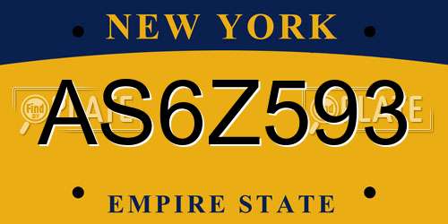 AS6Z593 New York License Plate