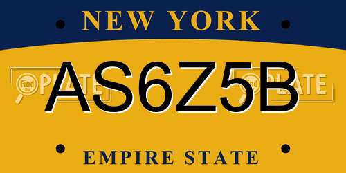 AS6Z5B New York License Plate