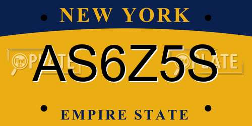 AS6Z5S New York License Plate
