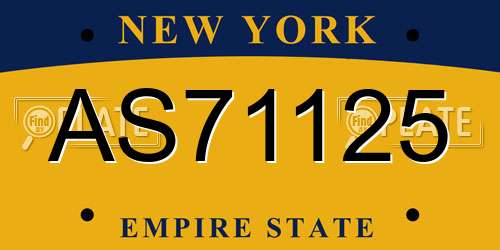 AS71125 New York License Plate