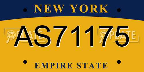 AS71175 New York License Plate