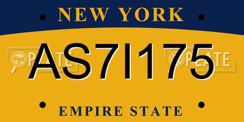 AS7I175 New York License Plate