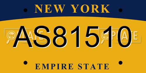 AS81510 New York License Plate