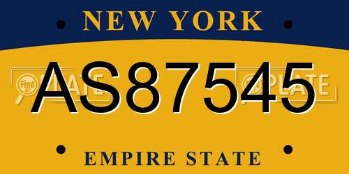 AS87545 New York License Plate