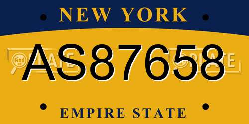 AS87658 New York License Plate
