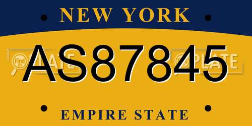 AS87845 New York License Plate