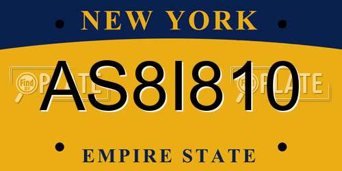 AS8I810 New York License Plate