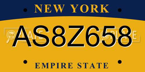 AS8Z658 New York License Plate