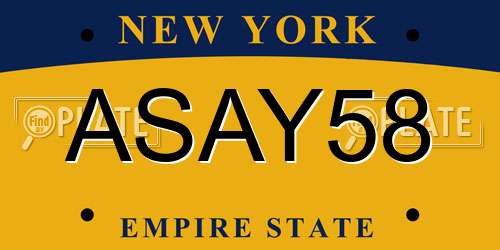 ASAY58 New York License Plate