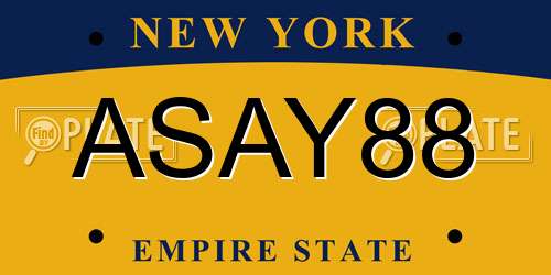 ASAY88 New York License Plate