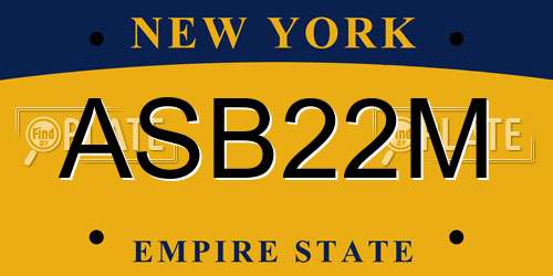 ASB22M New York License Plate