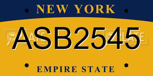 ASB2545 New York License Plate