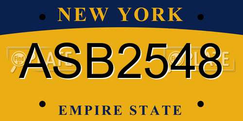 ASB2548 New York License Plate