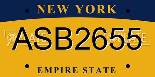 ASB2655 New York License Plate
