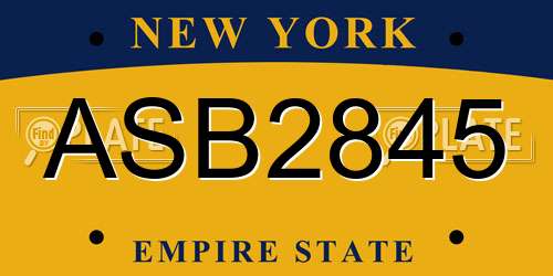 ASB2845 New York License Plate