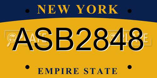 ASB2848 New York License Plate