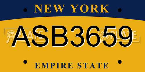 ASB3659 New York License Plate
