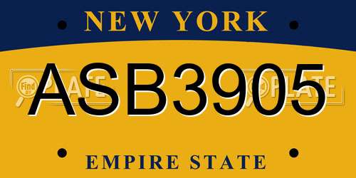 ASB3905 New York License Plate