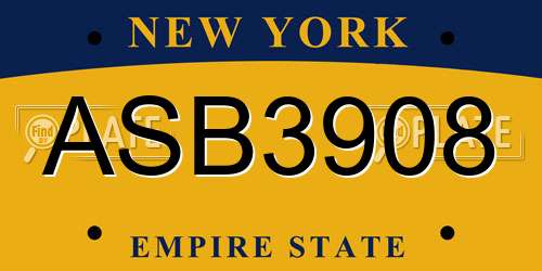 ASB3908 New York License Plate
