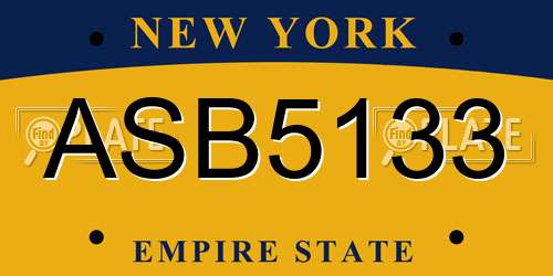 ASB5133 New York License Plate
