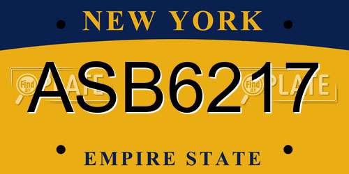 ASB6217 New York License Plate