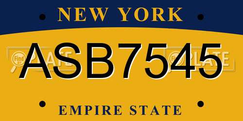 ASB7545 New York License Plate