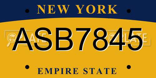 ASB7845 New York License Plate