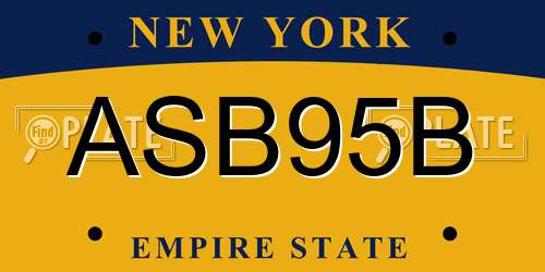 ASB95B New York License Plate