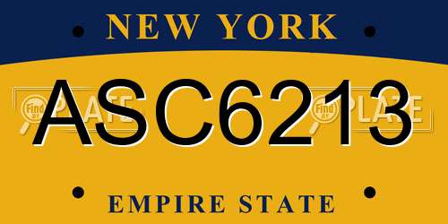 ASC6213 New York License Plate