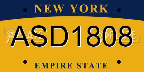 ASD1808 New York License Plate