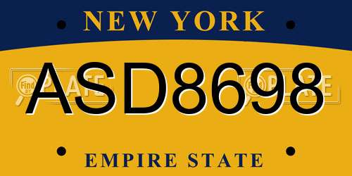 ASD8698 New York License Plate