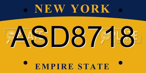 ASD8718 New York License Plate