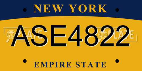 ASE4822 New York License Plate