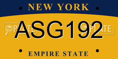 ASG192 New York License Plate
