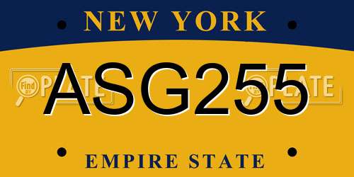 ASG255 New York License Plate