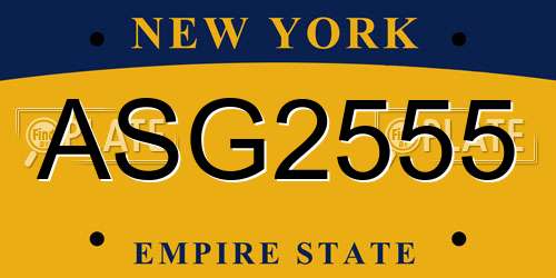 ASG2555 New York License Plate