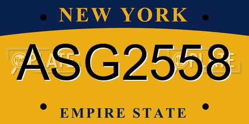 ASG2558 New York License Plate