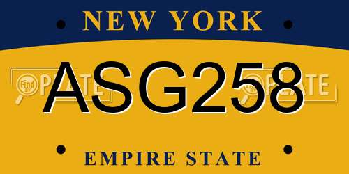 ASG258 New York License Plate