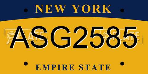 ASG2585 New York License Plate