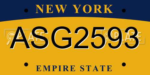 ASG2593 New York License Plate