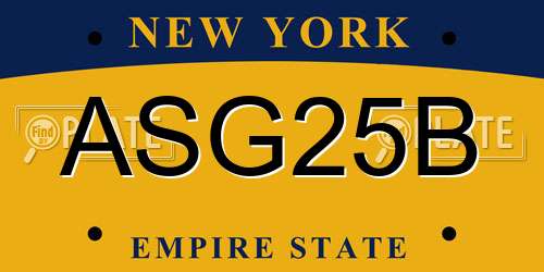 ASG25B New York License Plate