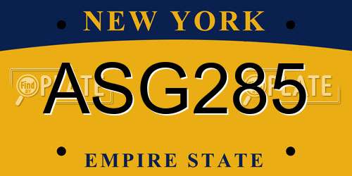 ASG285 New York License Plate